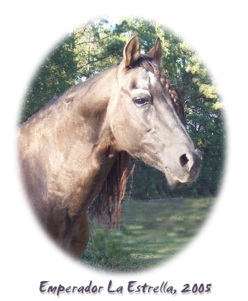 Emperador, October 2005 