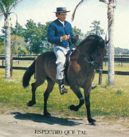 Espectro que tal, Empeador's grandsire