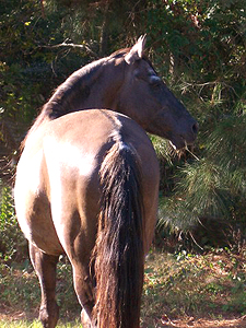Emperador, October 2005