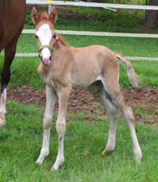 Mateo just a few days old