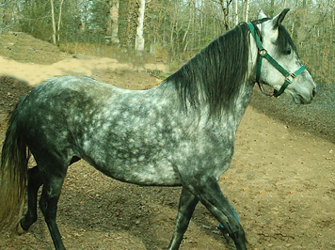 Davina and Forrest, July 2004