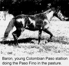Baron
