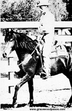 Baron being ridden with no hands
