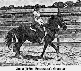 Guala, Emperador's granddam.