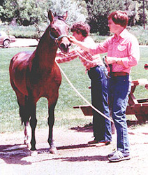 Hilaches in 1981