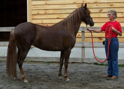 Libertad Campana, 2004