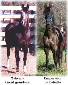 Mahoma and Emperador