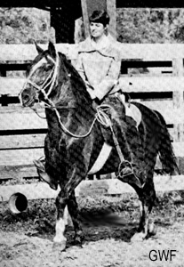 Mahoma being ridden