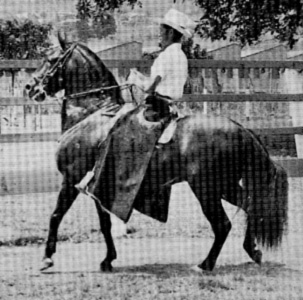 Resorte III