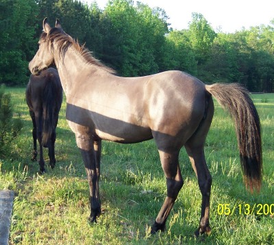 Espirita -- May 2007