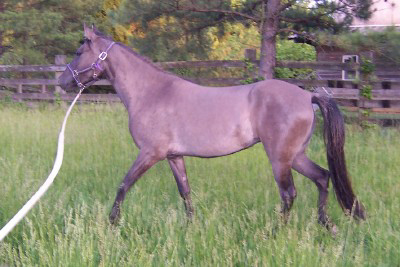 Espirita