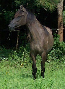 Espirita at 13+ months, 8-8-06
