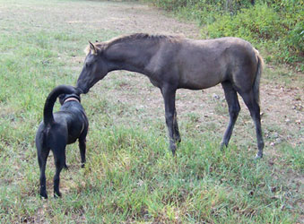 Espirita and Smut -- September 2005