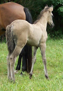 Espirita 1 month old