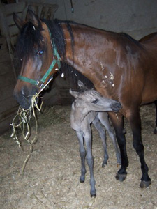 Esprita's first morning