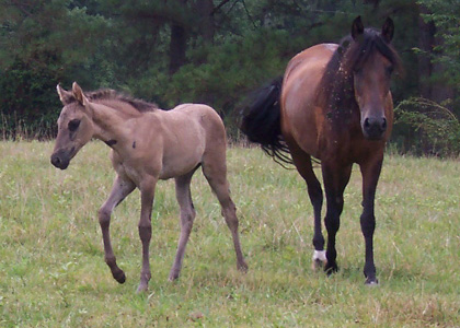 Espirita - 1 month old with Picassa