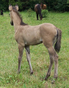 Espirita 1 month old