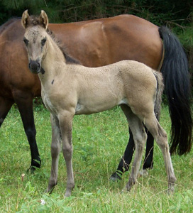 Espirita - 1 month old 7-30-05