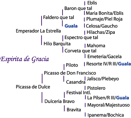Espirita de Gracia's pedigree
