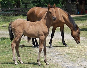 Extasis. here's looking at you ...1 month old.