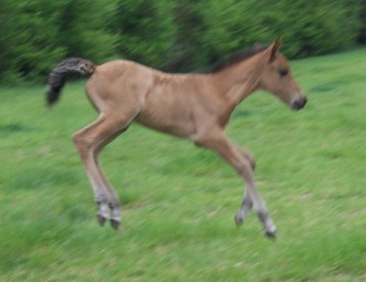 Extasis -- Coming in for a landing!