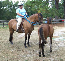 ET with his dam Maja and Jeany