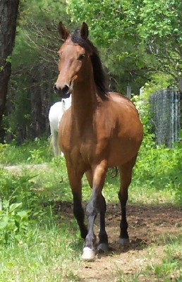 youth ridr on Arianna