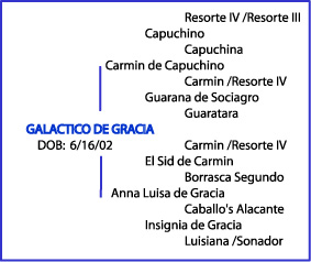 Galactico's pedigree