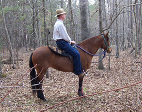 Anna & David in woods