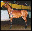 Anna at fair, 1996
