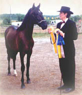 Lynn & Teson at Asheville