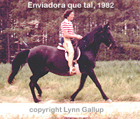 Enviadora que tal gives a test ride to a visitor at Gracewood Farm in 1982.
