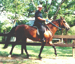 Lynn on Insignia