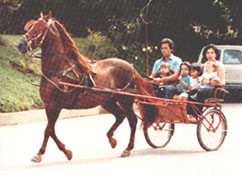 Resorte IV pulls a cart