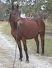 Sid, 11/2003
