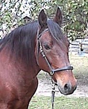 Sid , 11/2003