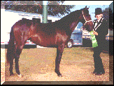 Zena & Rebecca at fair