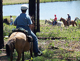 Lori West riding General on a trail ride
