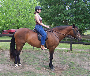 Proper riding form demonstrated by Allison on Insignia