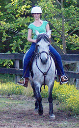 Young Adult Rider