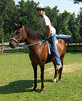 Dismounting step 1