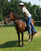 Dismounting step 2