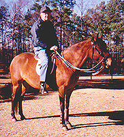 Senior Rider