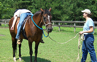 Leaning Bcak for balance and trust