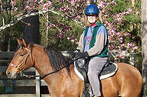 New Paso Fino owner learning to ride her Paso Fino