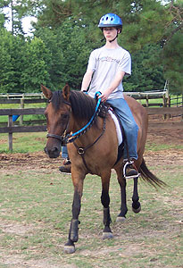 Eric concentrates as he rides Maja during a lesson