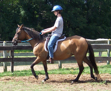 gain balance with the horse to achieve the bets Paso Fino gaits 