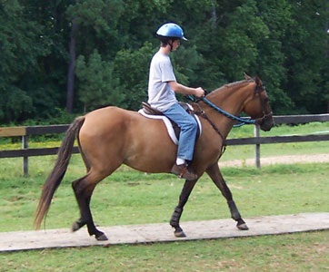 Eric rides Maja over the sounding board