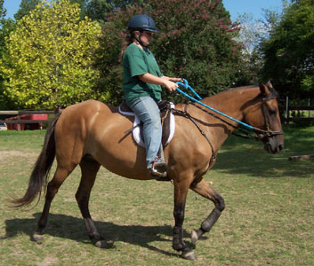 Lindsey riding Maja during a lesson