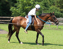 Horsemanship and balance lesson